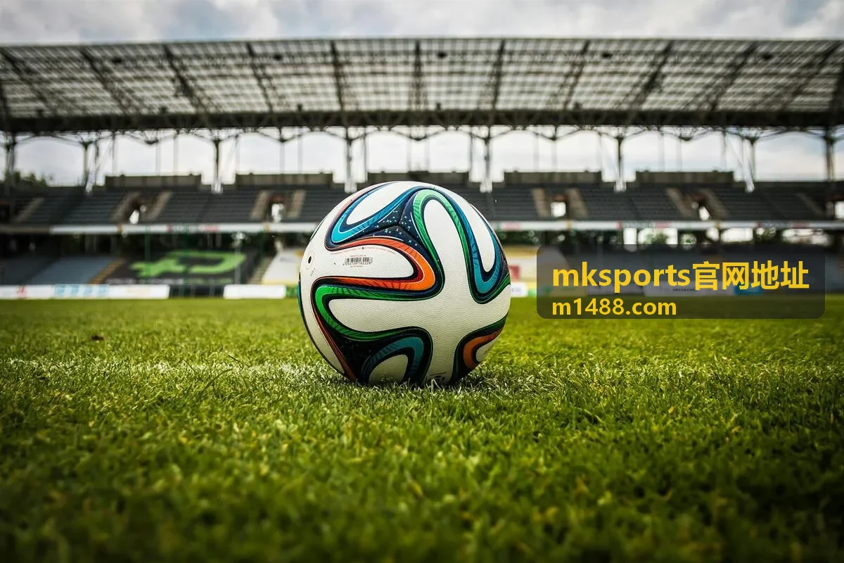 mksports官网地址 首页入口核对流程