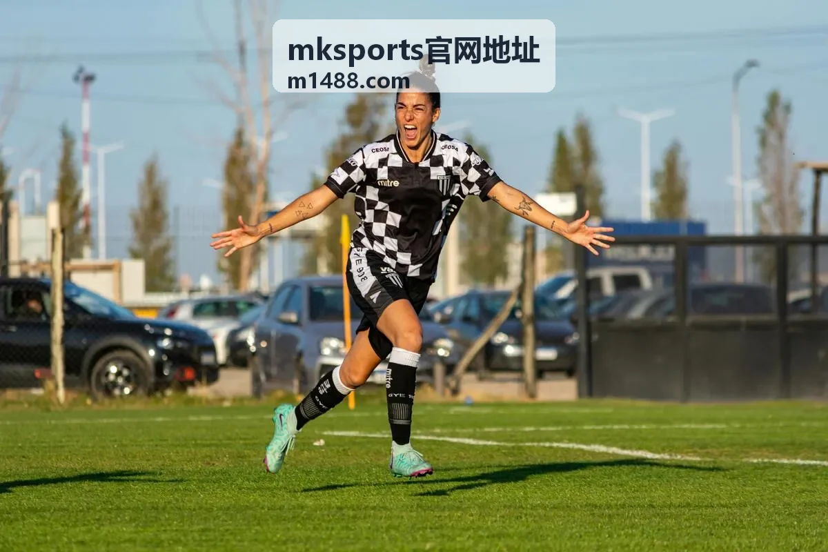 mksports官网地址权益问题自查清单