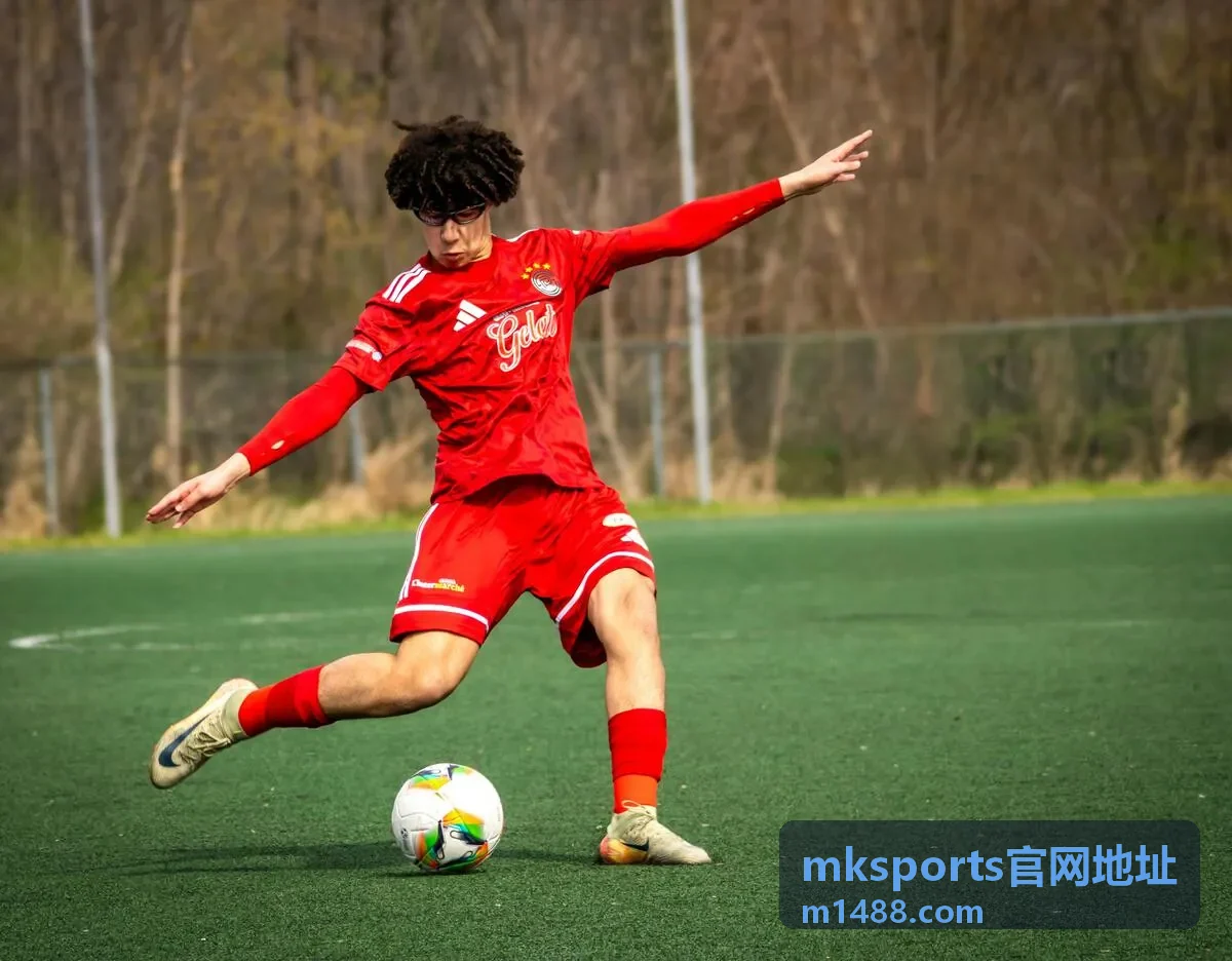 mksports官网地址 常见提示语含义说明