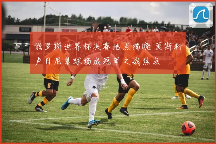 俄罗斯世界杯决赛地点揭晓 莫斯科卢日尼基球场成冠军之战焦点