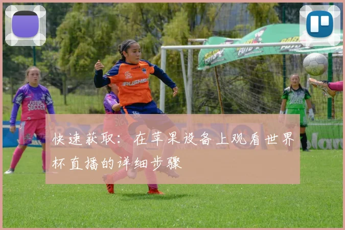 快速获取：在苹果设备上观看世界杯直播的详细步骤