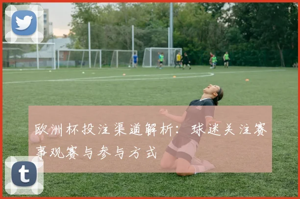 欧洲杯投注渠道解析:球迷关注赛事观赛与参与方式