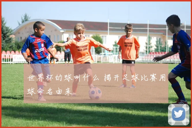 世界杯的球叫什么 揭开足球比赛用球命名由来
