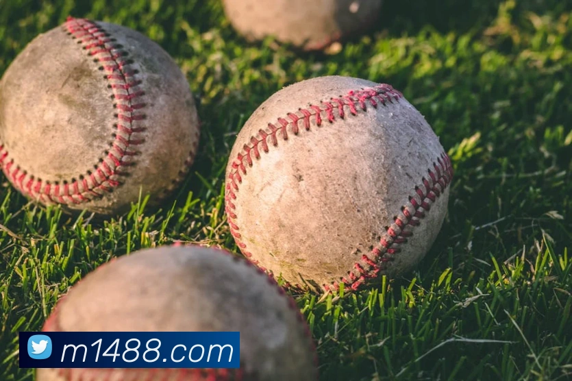 开云官方版入口服务体系